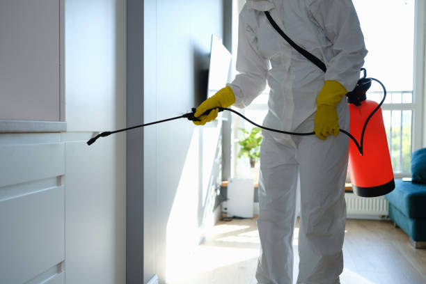 Best Best Mold Removal Companies  in Tucson Estates, AZ