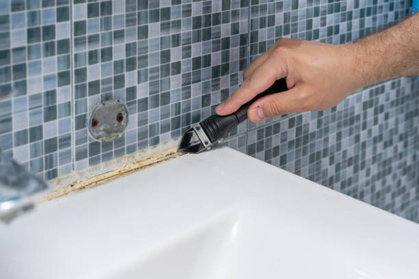 Best Affordable Mold Removal  in Tucson Estates, AZ