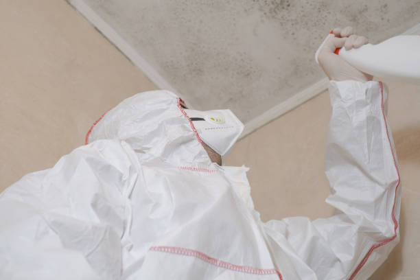 Best Mold Remediation  in Tucson Estates, AZ