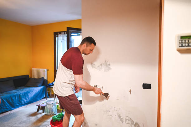Best Crawl Space Mold Removal  in Tucson Estates, AZ